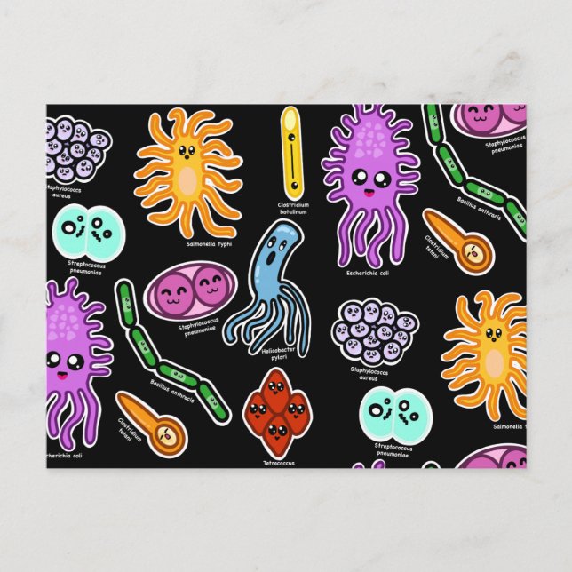 Carte Postale Types De Bactéries (Devant)