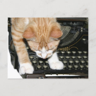 Carte Postale Types de chat Kitty