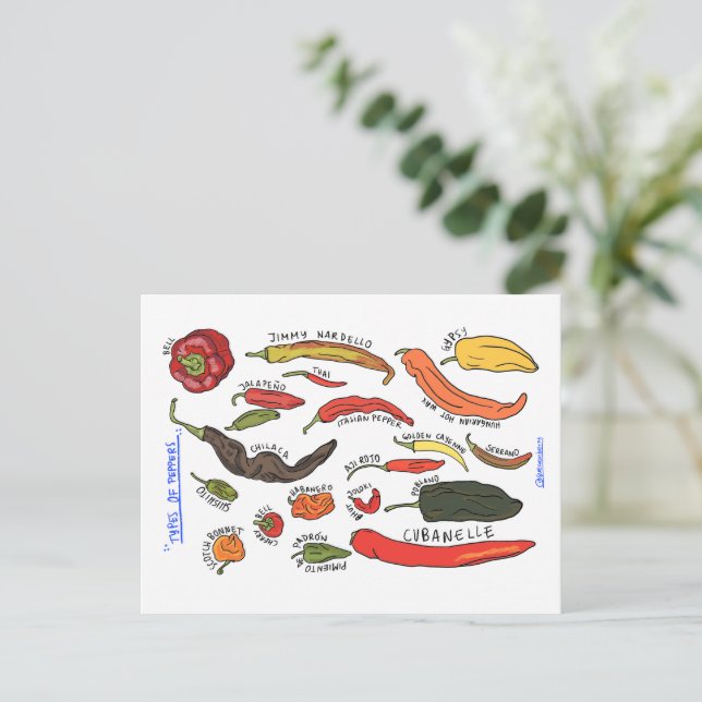 Carte Postale Types of Peppers (Debout devant)