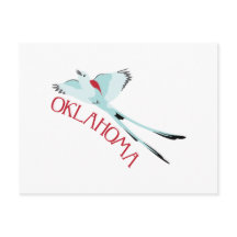 Tyran à longue queue