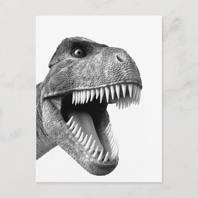 Carte Postale Tyrannosaurus Rex (Devant)