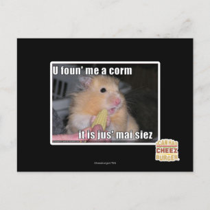 Carte Postale U m'a trouvé un maïs