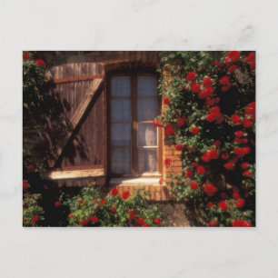 Carte Postale UE, France, Provence, Vaucluse, Apt. Maison