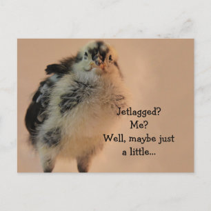 Carte Postale Ugly Chick