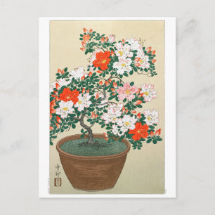 Carte Postale Ukiyoe [Koson] Azalea in Pot