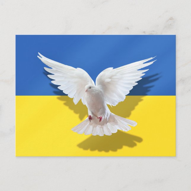 Carte postale Ukraine Peace Dove - Liberté (Devant)