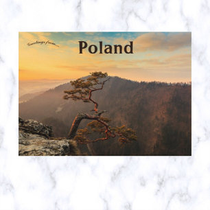 Carte Postale Un arbre à Pieniny Pologne