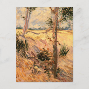 Carte Postale Un arbre dans un champ pendant la journée ensoleil