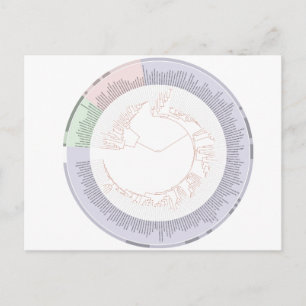 Carte postale Un arbre phylogénétique de la vie Gr