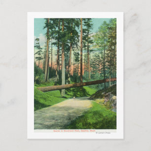 Carte Postale Un arbre tombé sur la scène du parc Woodland