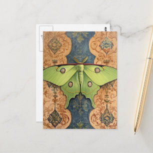 Carte Postale Un beau papillon de nuit vert fond bleu marron