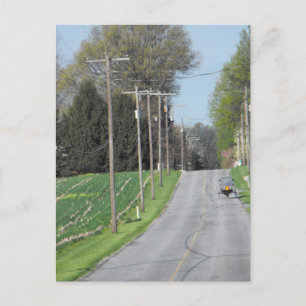 Carte Postale ~ Un bon matin ~