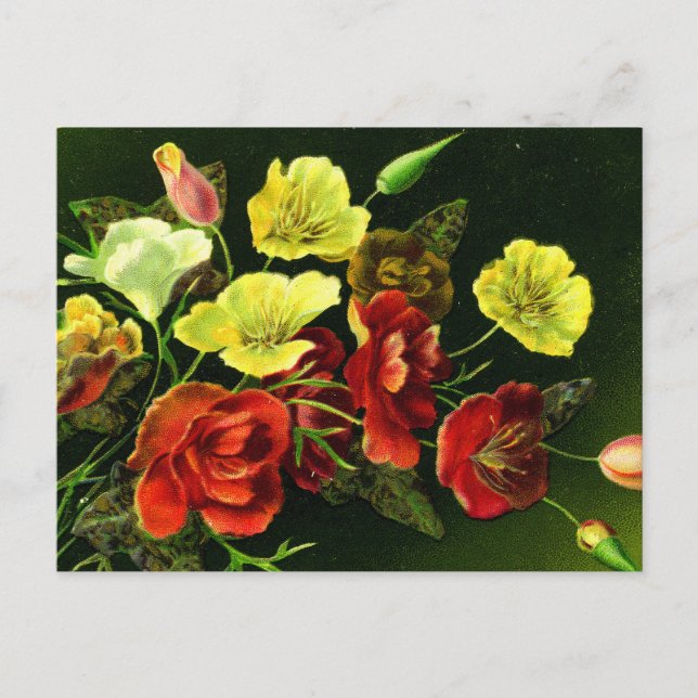 Carte Postale Un Bouquet pour toutes les saisons ! (Devant)