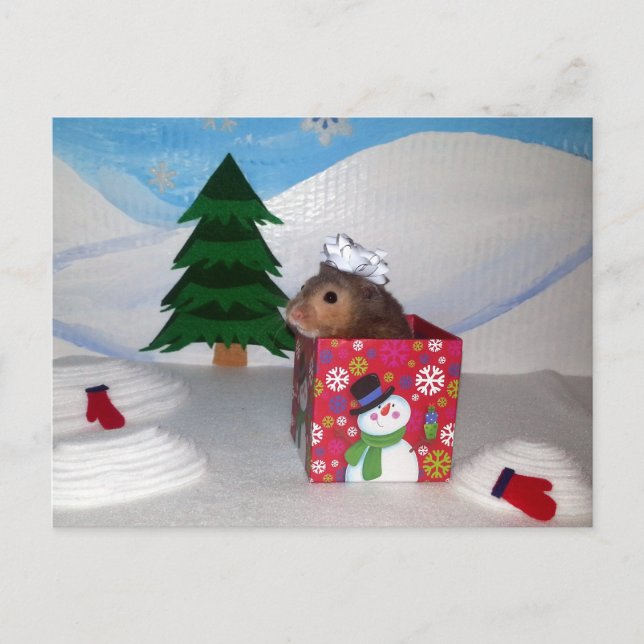 Carte Postale Un cadeau d'élevage de hamsters ! (Devant)