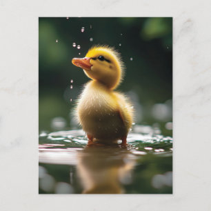 Carte Postale "Un canard adorable dans la pluie