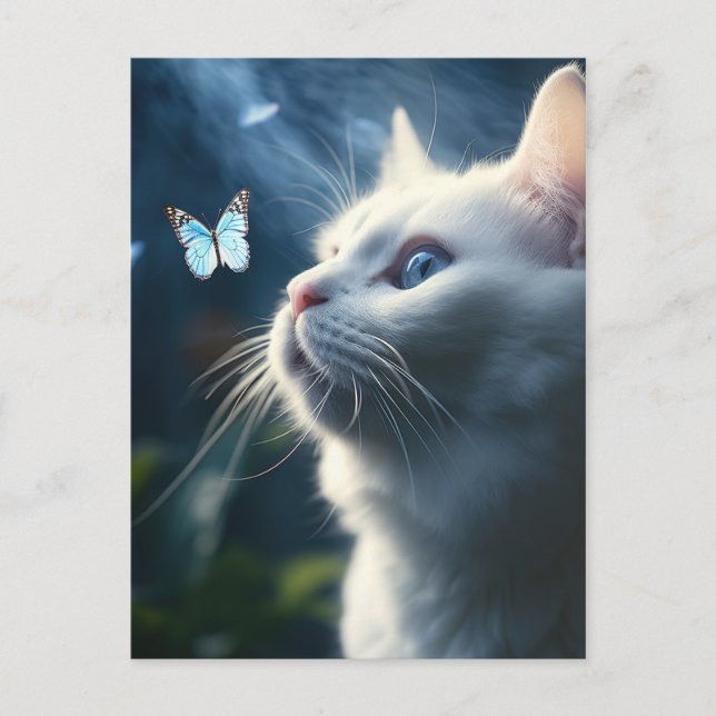 Carte Postale Un chat blanc aux yeux bleus regarde un papillon (Devant)