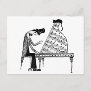 Carte Postale Un chat nommé Sonata