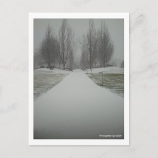 Carte Postale Un chemin d'hiver....