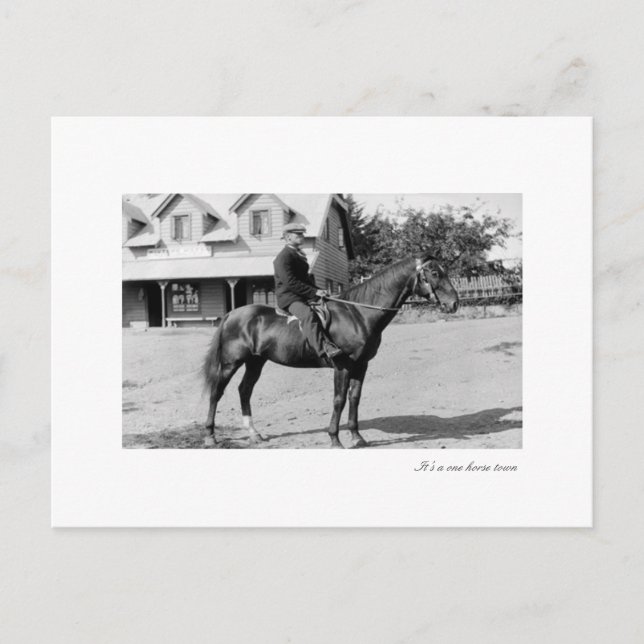 Carte Postale un cheval (Devant)