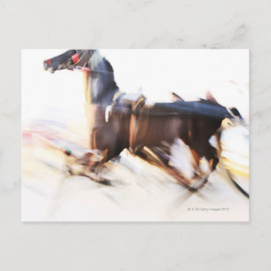 Carte Postale Un cheval courant à haute vitesse est en concurren