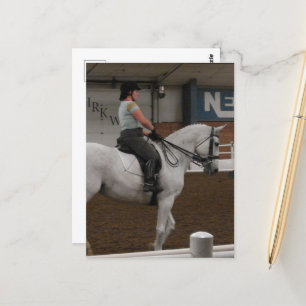 Carte Postale Un Cheval De Dressage Gris