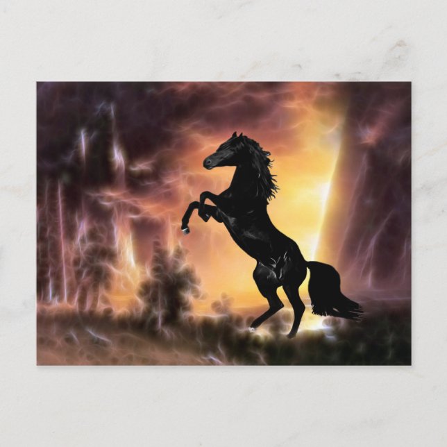 Carte Postale Un cheval de Stallion friésien (Devant)