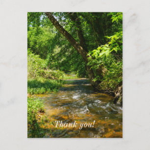 Carte Postale Un Country Creek