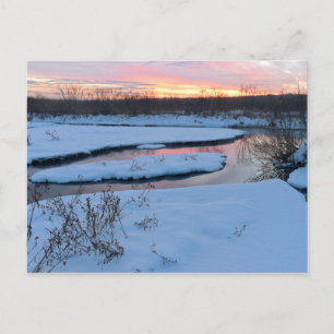 Carte Postale Un crépuscule hivernal à la réserve faunique