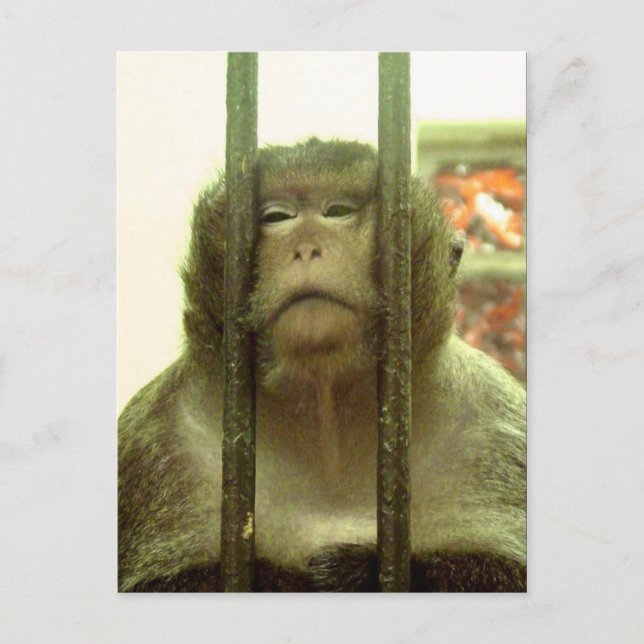 Carte Postale Un de ces jours.... (Devant)