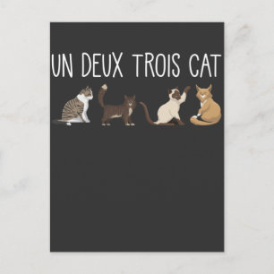 Carte Postale Un Deux Trois Cat French Pun Kitty Humour Animaux 
