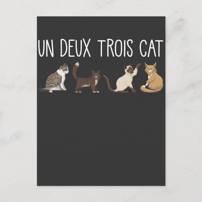 Carte Postale Un Deux Trois Cat French Pun Kitty Humour Animaux  (Devant)