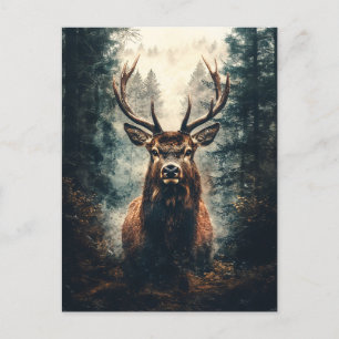 Carte Postale Un élan spectaculaire dans les bois