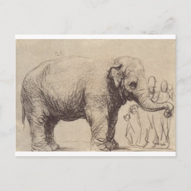 Carte Postale Un éléphant de Rembrandt (Devant)