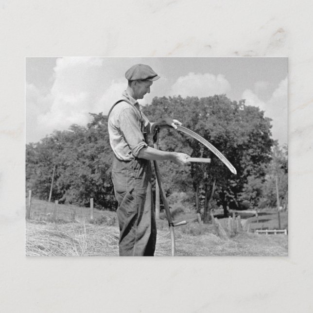 Carte Postale Un fermier affûte un cythe, années 1930 (Devant)
