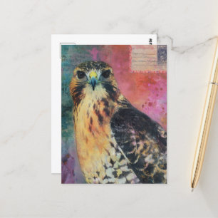 Carte Postale Un Hawk