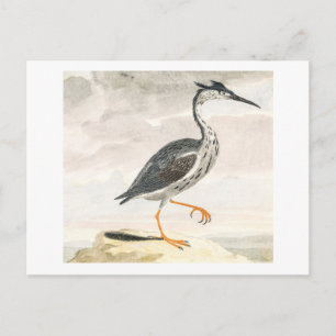 Carte Postale Un héron de Johan Teyler Vintage Bird Art