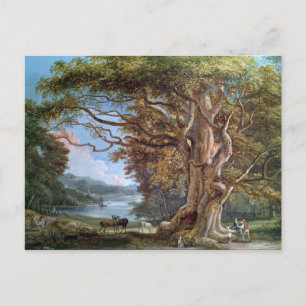 Carte Postale Un hêtre ancien, 1794 (huile sur toile)