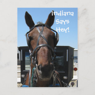 Carte Postale Un Hey Indiana !