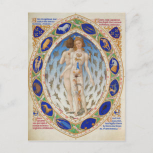 Carte Postale Un homme anatomique à Duke Berry's Très Riches Heu