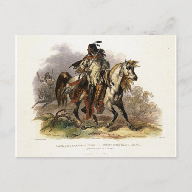 Carte Postale Un Indien Pieds-Noirs à cheval, plaque 19 du vol (Devant)