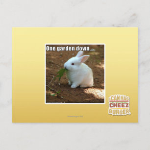 Carte Postale Un jardin �