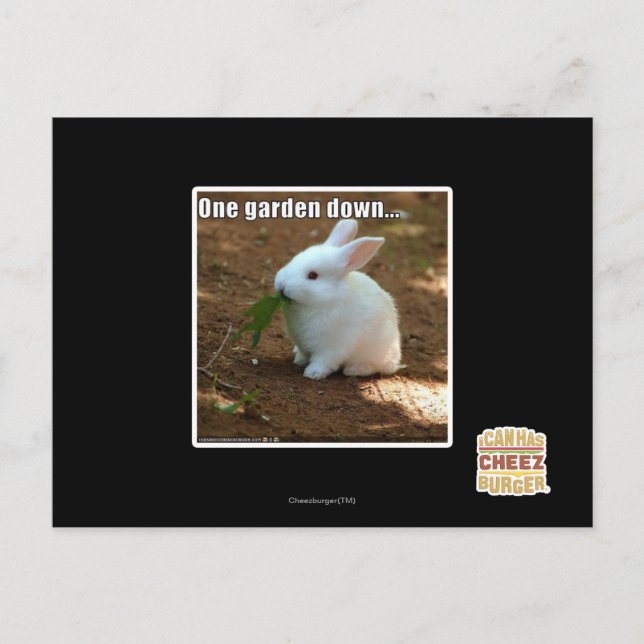 Carte Postale Un jardin � (Devant)