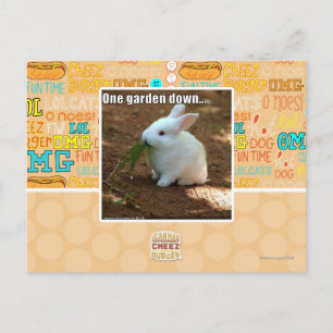 Carte Postale Un jardin �