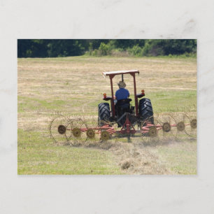 Carte Postale Un jeune garçon conduisant un tracteur récoltant