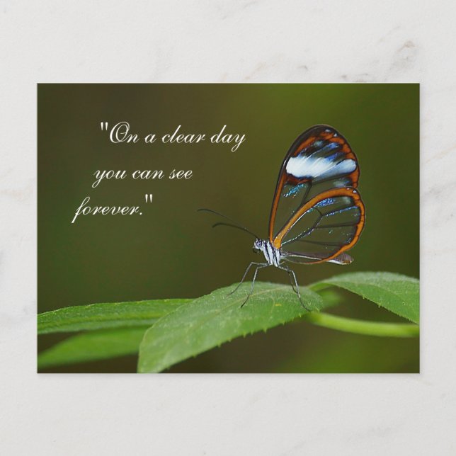 Carte Postale "Un jour clair" Conception de papillon en verre (Devant)