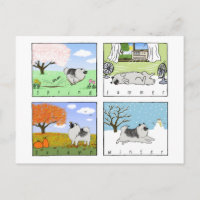 Un Keeshond profite des quatre saisons - Fun Dog A