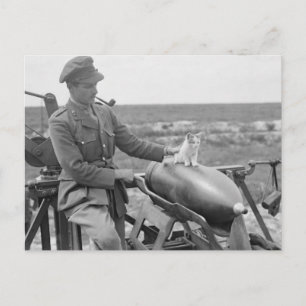 Carte Postale Un Kitty en guerre