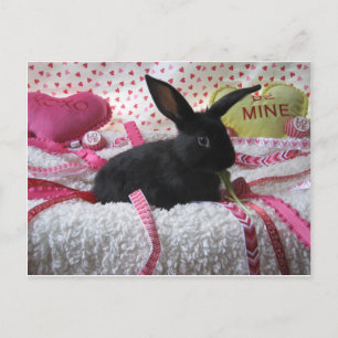Carte Postale Un Lapin T'Aime !