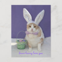 Un lapin t'aime.