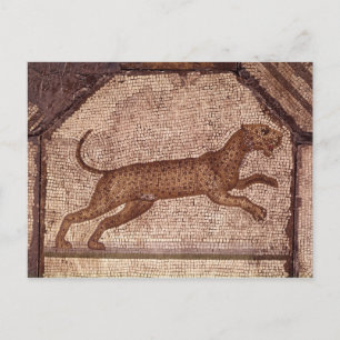 Carte Postale Un léopard